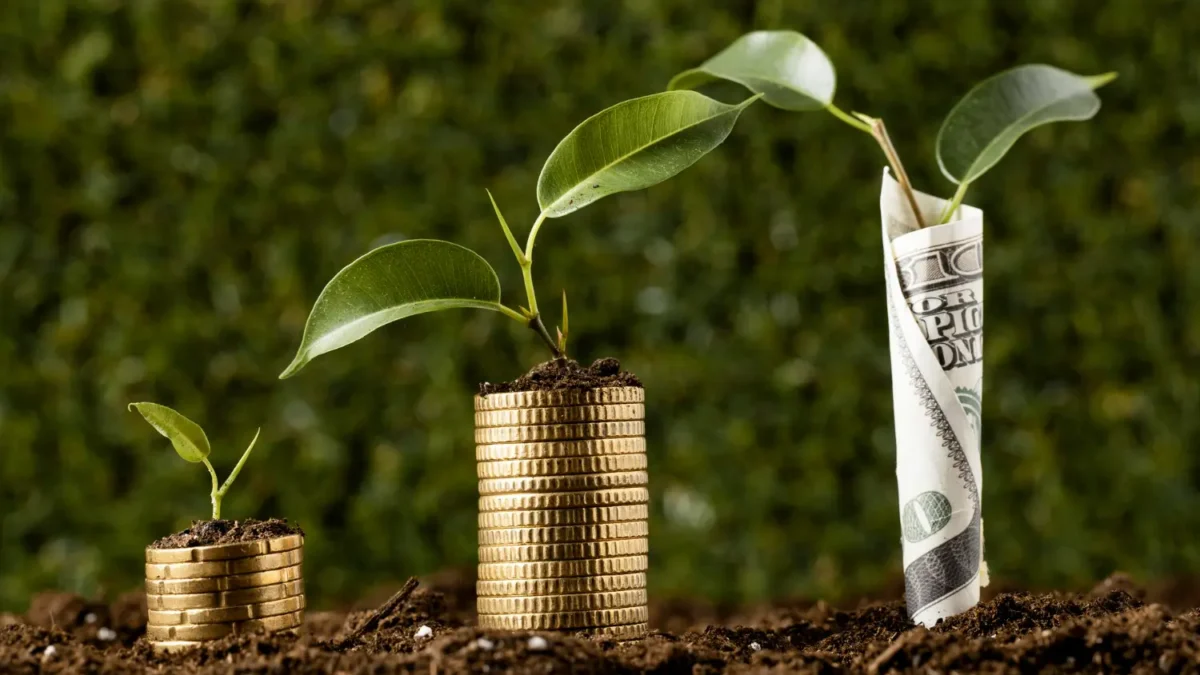 689f054873e81142505988 ринок земельних ділянок